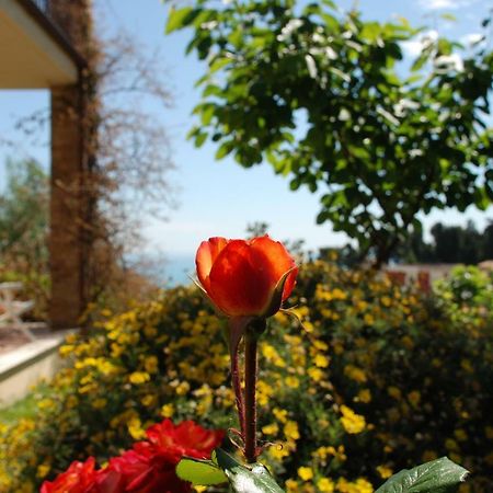 Bed & Breakfast Latteletto Tortoreto Dış mekan fotoğraf