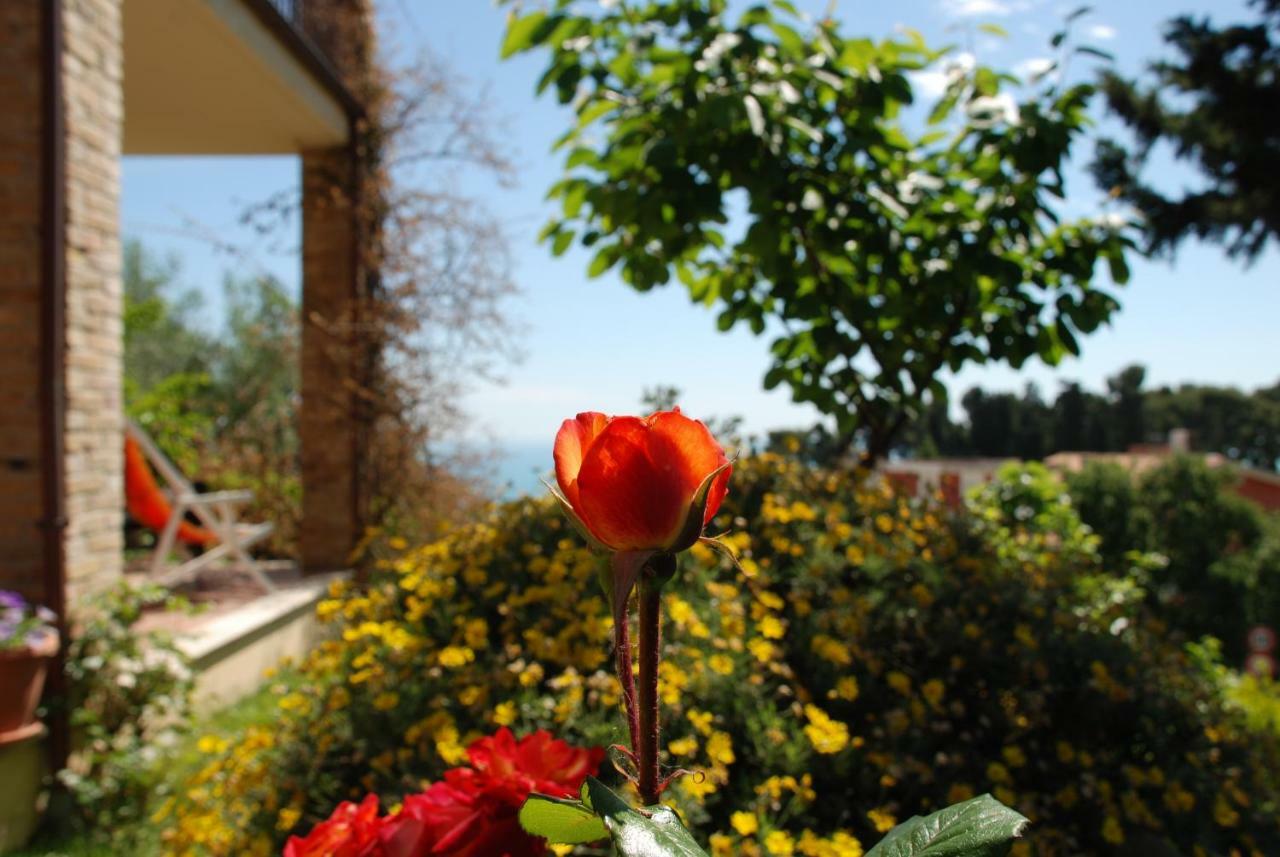 Bed & Breakfast Latteletto Tortoreto Dış mekan fotoğraf